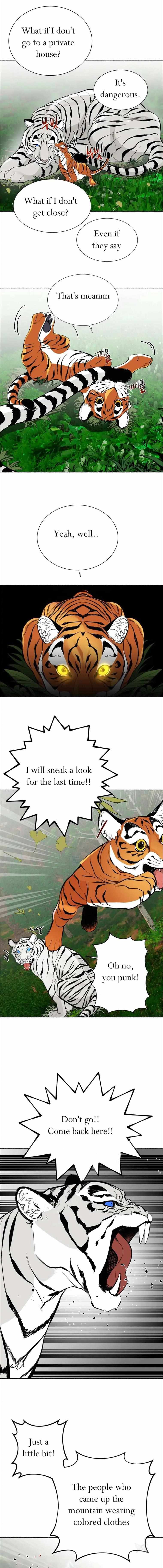 The Millennial Tiger - - Chapter 25