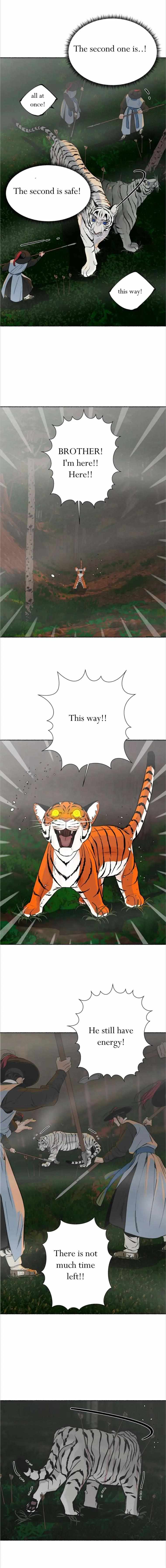 The Millennial Tiger - - Chapter 28