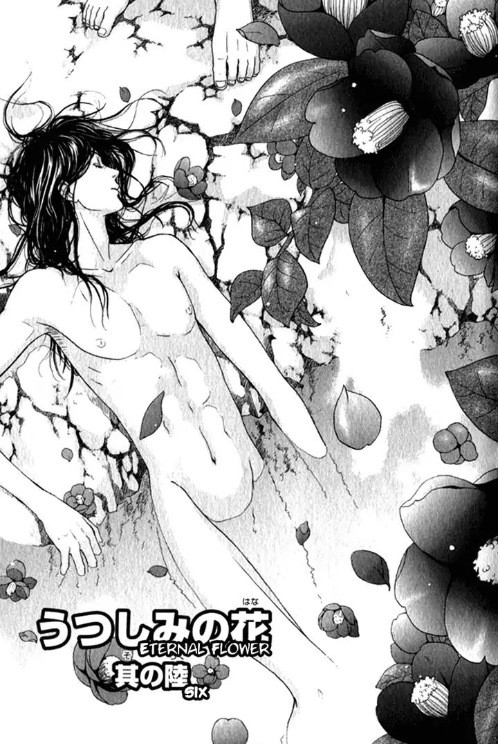 Eternal Flower - Vol.2 Chapter 6