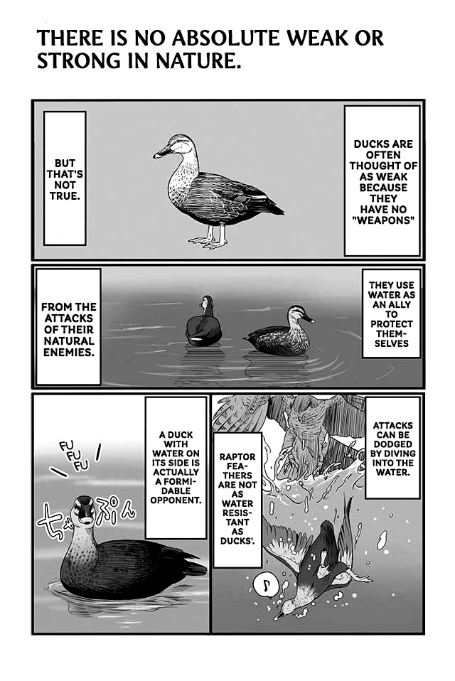 Hawk Master, It's Hunting Time! - Chapter 2: Duck Hunting