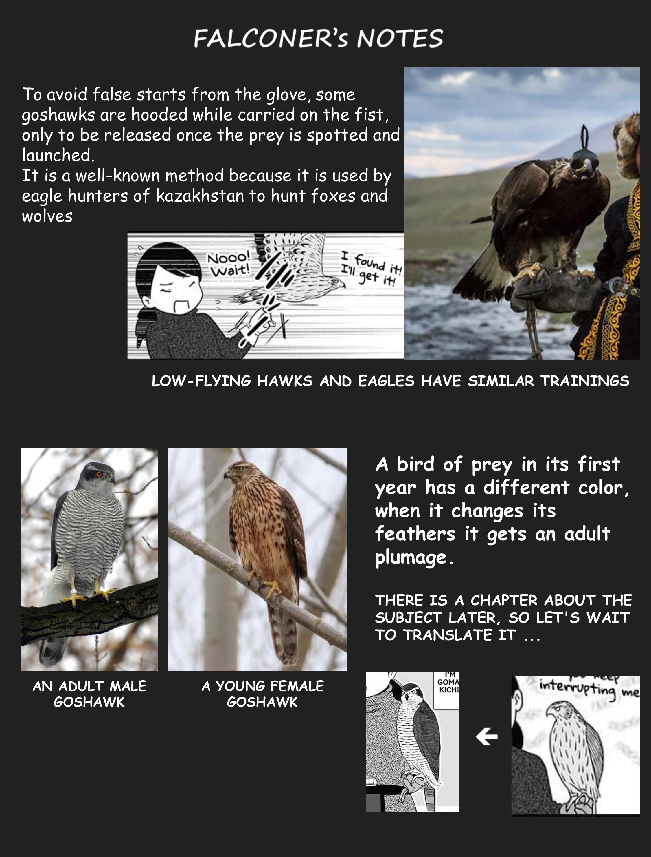 Hawk Master, It's Hunting Time! - Chapter 8: The Hawk Is Lost