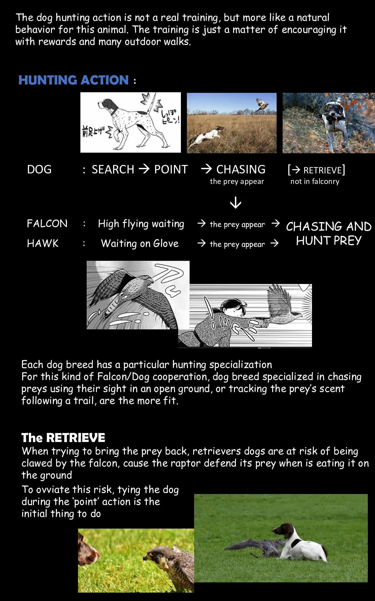 Hawk Master, It's Hunting Time! - Chapter 11: Dog And Hawk Interaction