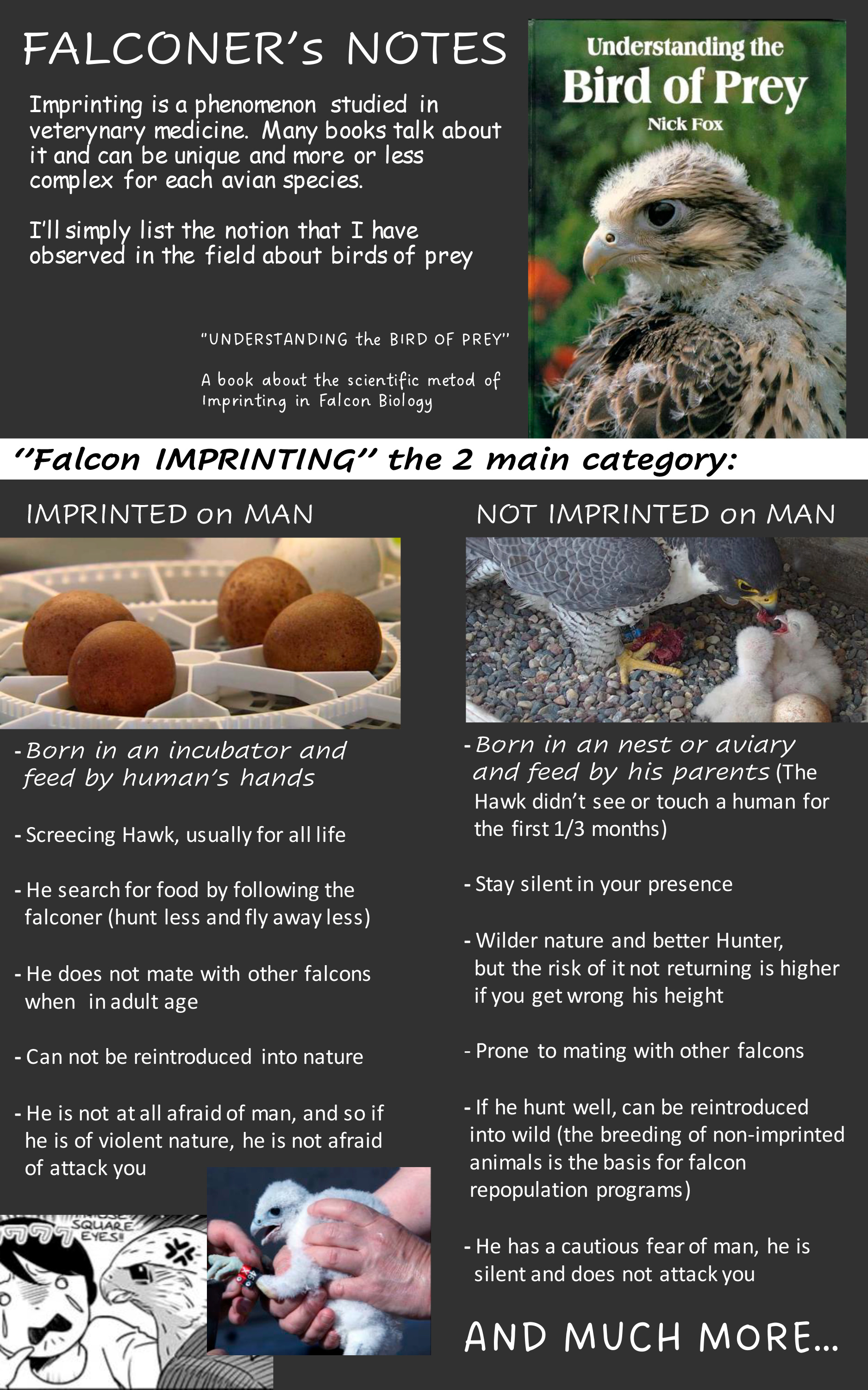 Hawk Master, It's Hunting Time! - Chapter 10: Nature Of Animal Imprinting