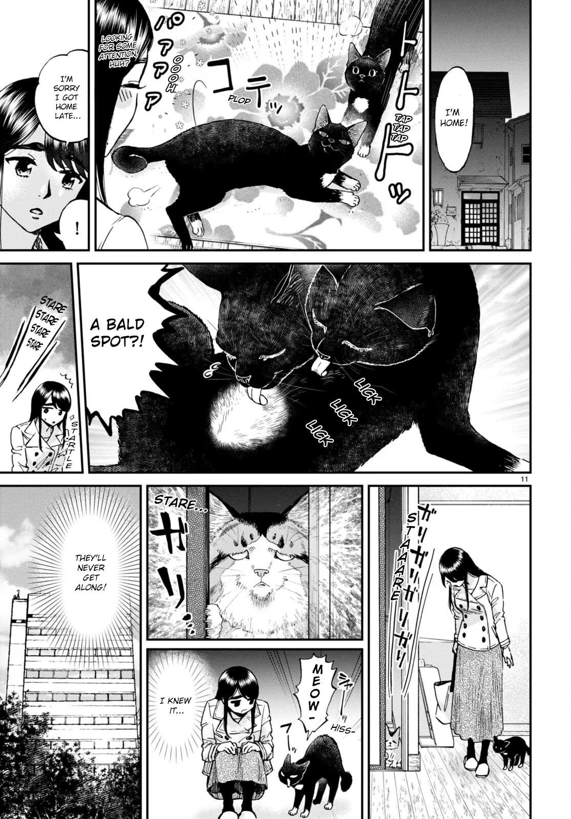 Hosomura-San With Cat's Snack - Vol.2 Chapter 13: Cat And Chirashizushi