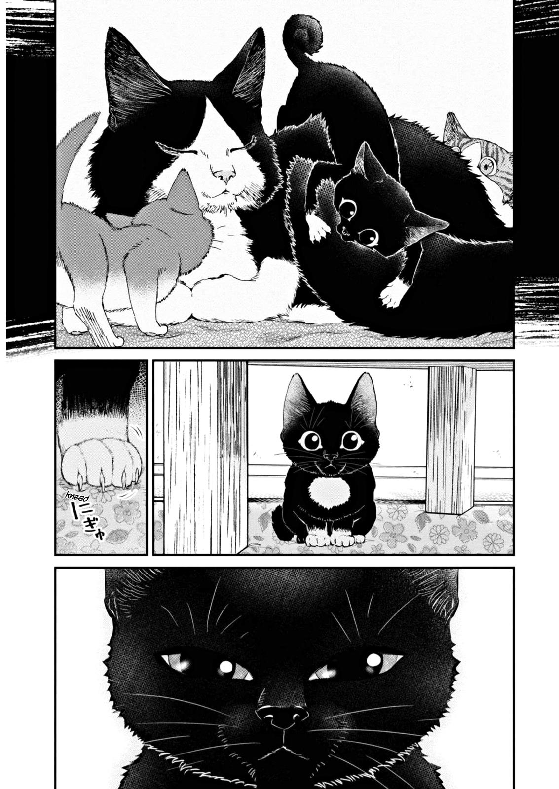 Hosomura-San With Cat's Snack - Vol.1 Chapter 7