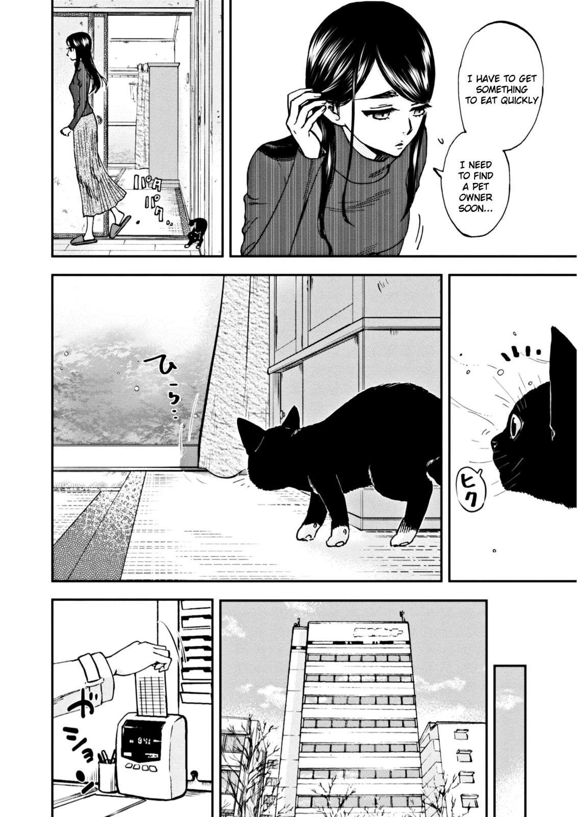 Hosomura-San With Cat's Snack - Vol.1 Chapter 4: Eating A Simple Hamburger With A Cat