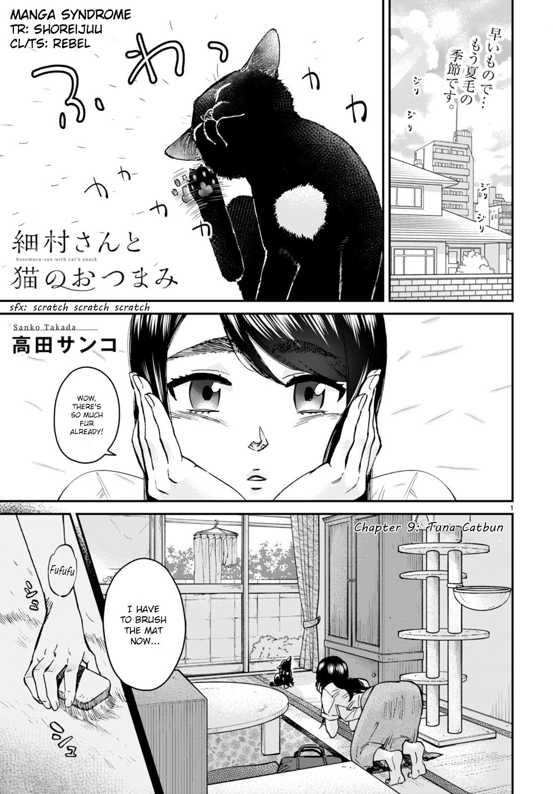 Hosomura-San With Cat's Snack - Vol.2 Chapter 9