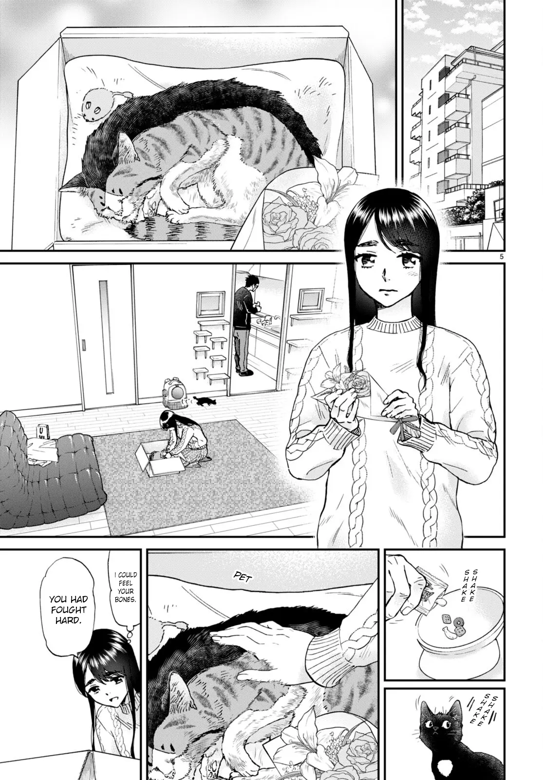 Hosomura-San With Cat's Snack - Vol.2 Chapter 14: Hosomura Family's Mixed Chicken Rice