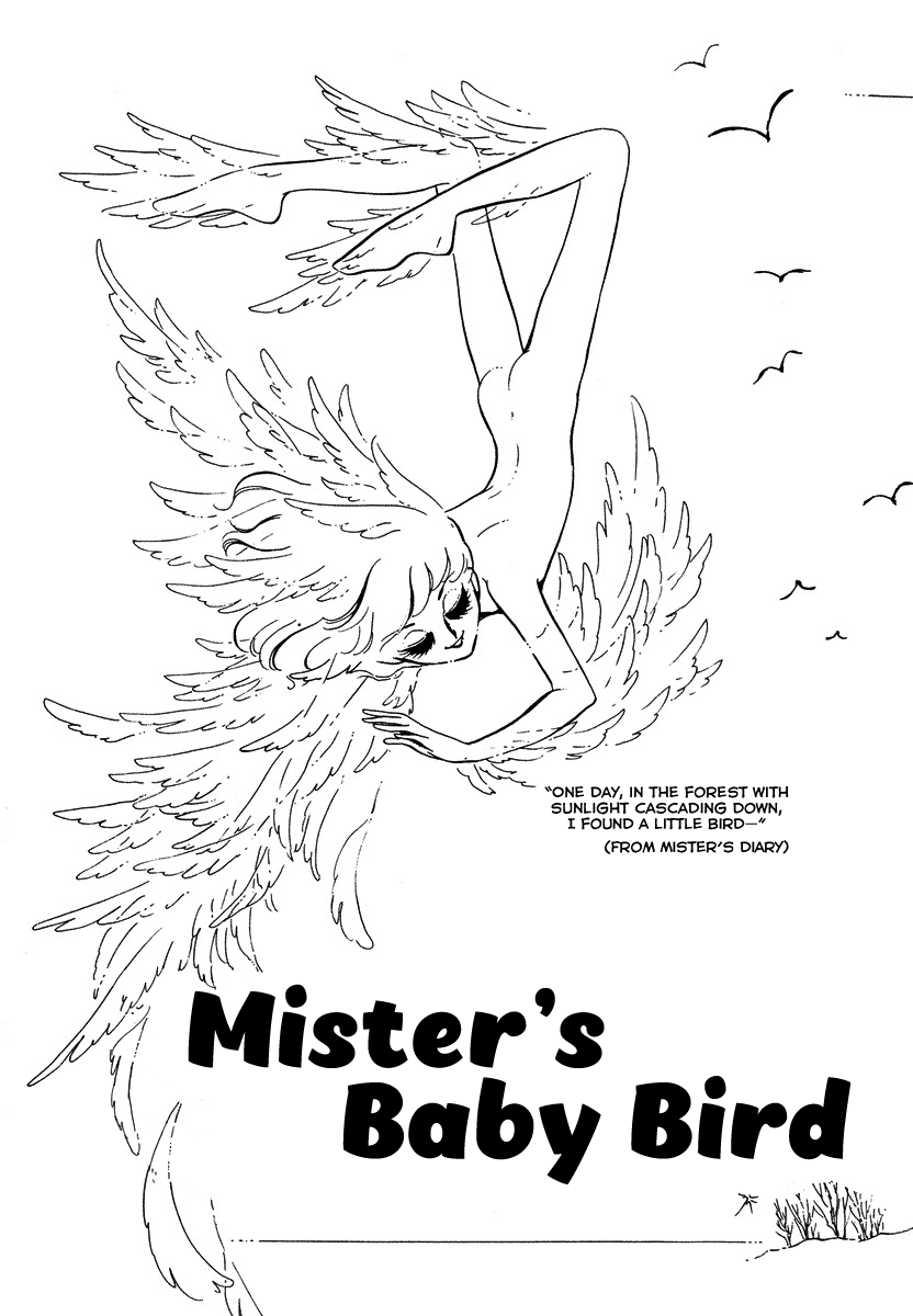 In The Sunroom - Vol.1 Chapter 5: Mister's Baby Bird