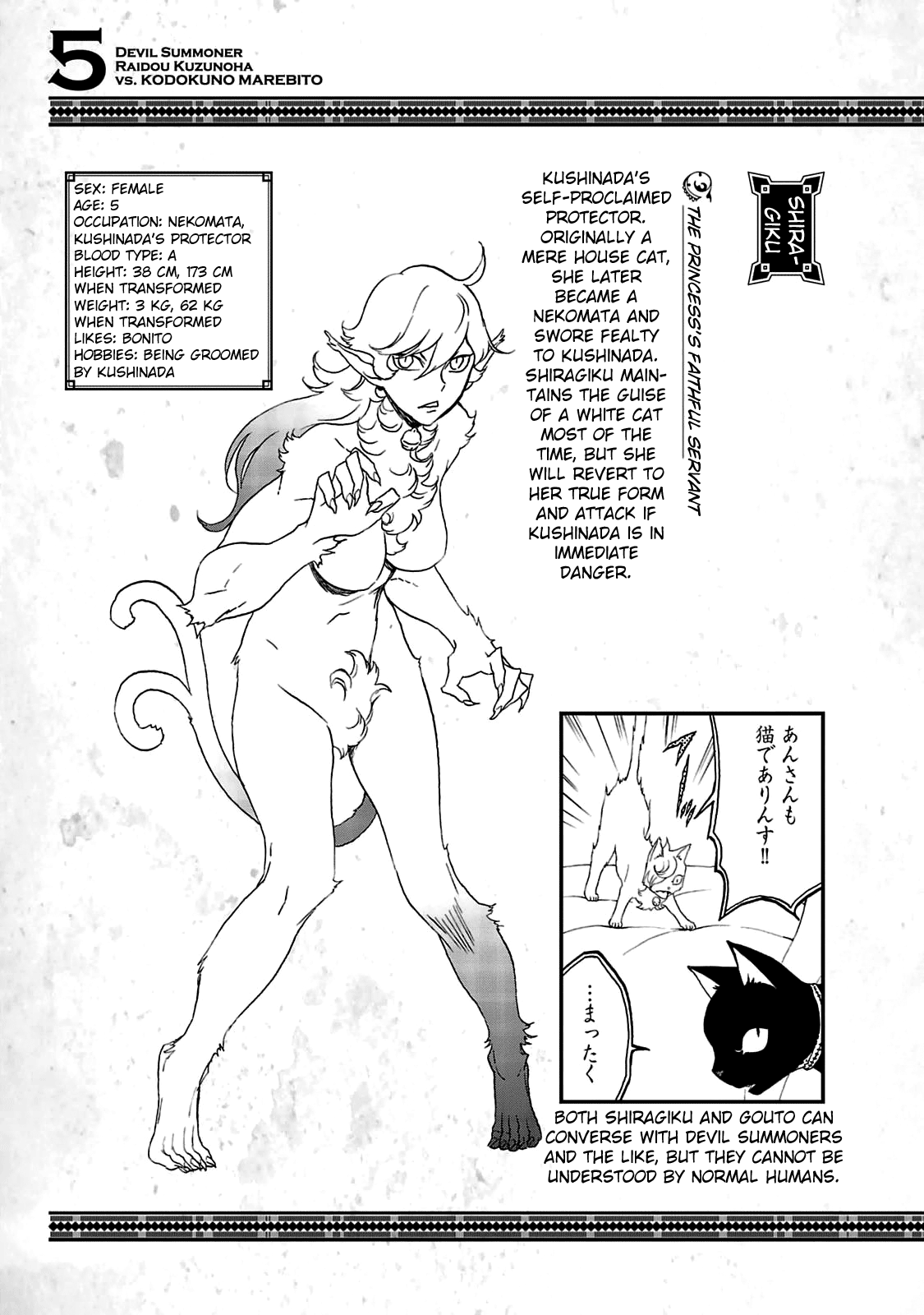 Shin Megami Tensei: Devil Summoner - Kuzunoha Raidou Tai Kodokuno Marebito - Vol.5 Chapter 29.5: Character Settings