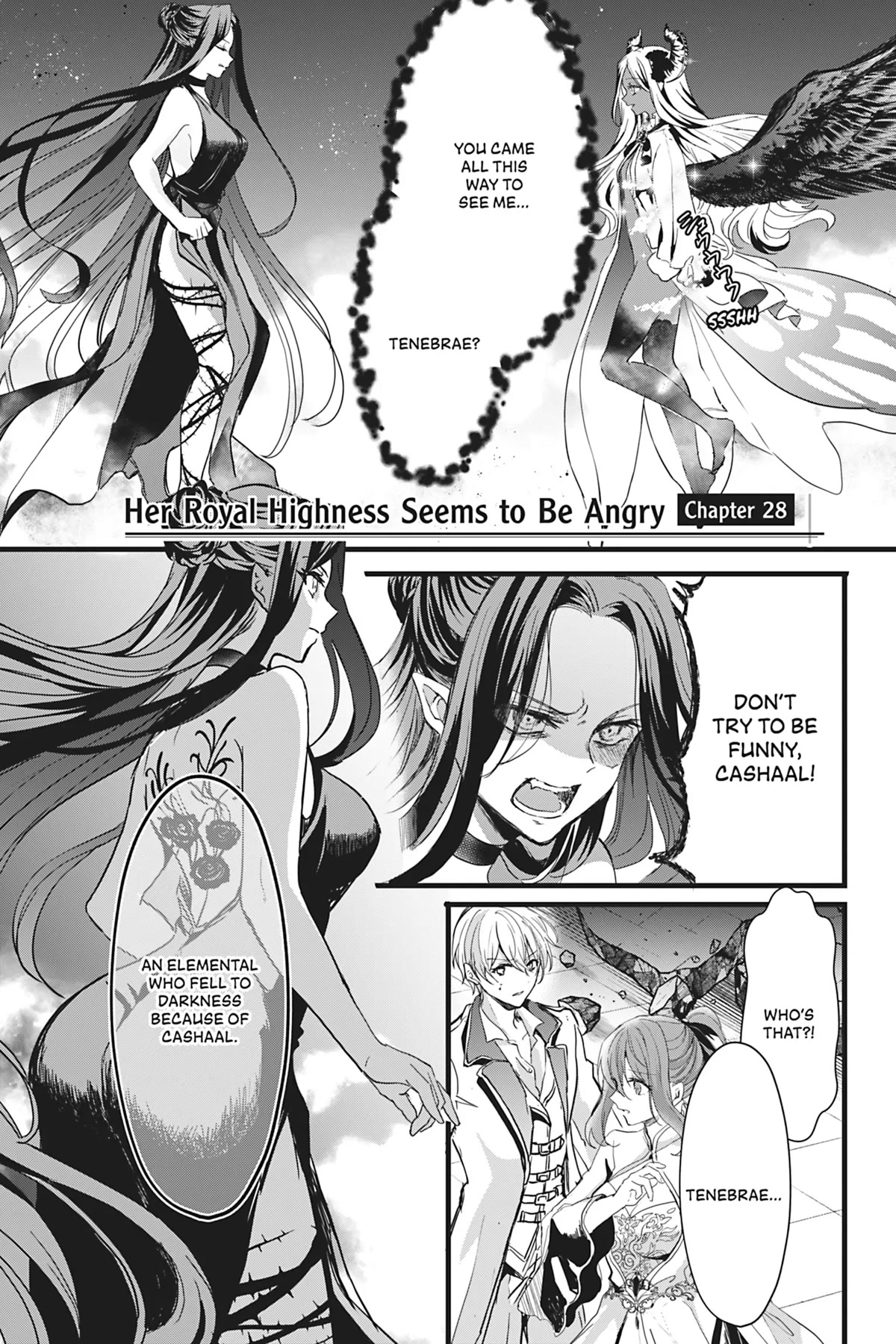 Her Royal Highness Seems To Be Angry - Chapter 28 [End]