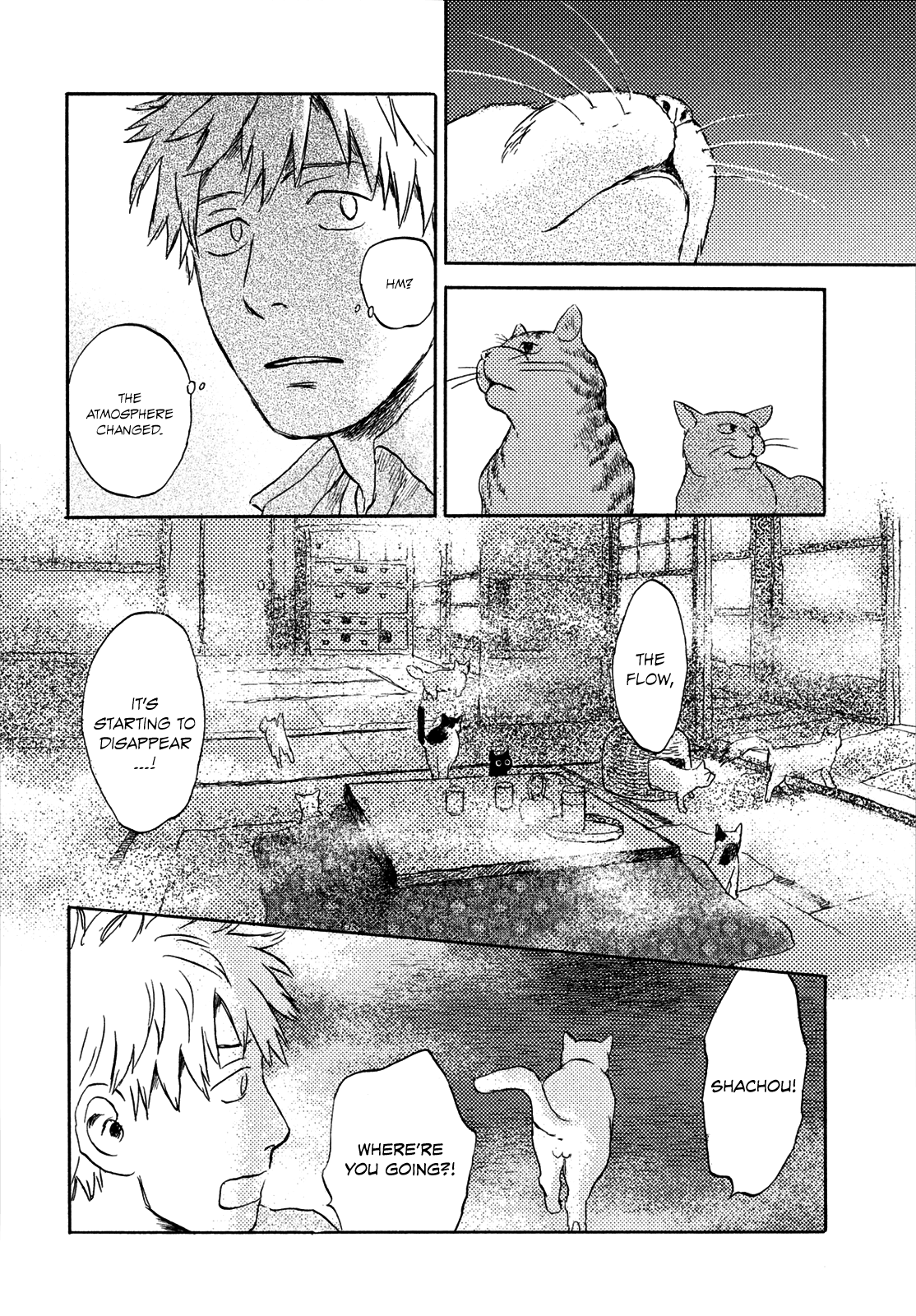 Cats Are Facing West - Chapter 3