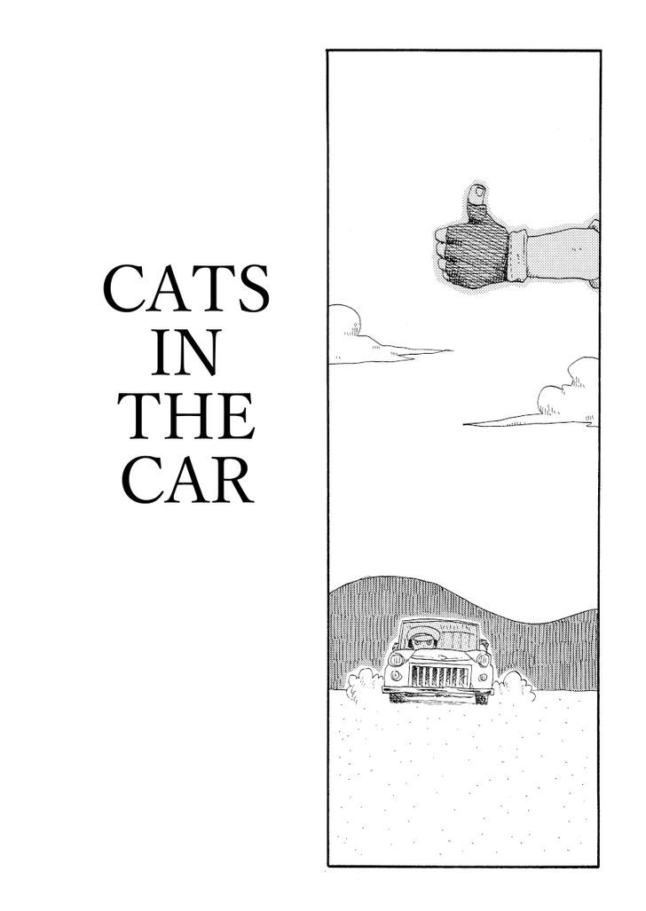 Cat In The Car - Chapter 61 : Cats In The Car [End]