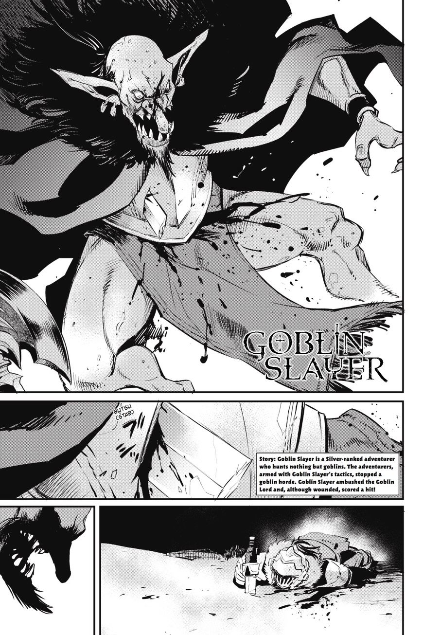 Goblin Slayer - Chapter 15 : Goblin Slayer 15