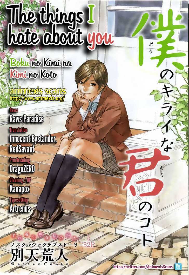 Boku No Kirai Na Kimi No Koto - Chapter 0 : The Things I Hate About You