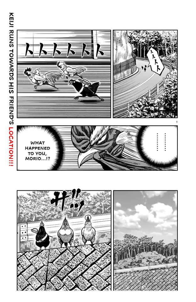 Rooster Fighter - Vol.5 Chapter 21: 21St Feather: Beating A Dead Horse