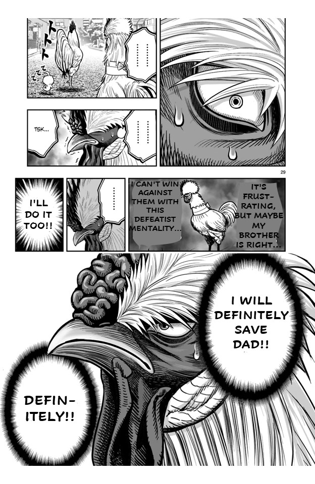 Rooster Fighter - Vol.5 Chapter 21: 21St Feather: Beating A Dead Horse