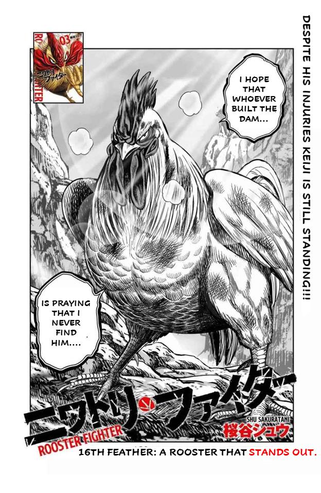 Rooster Fighter - Chapter 16: 16Th Feather: A Rooster That Stands Out