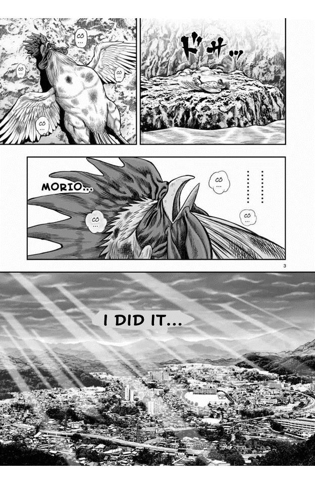 Rooster Fighter - Chapter 16: 16Th Feather: A Rooster That Stands Out