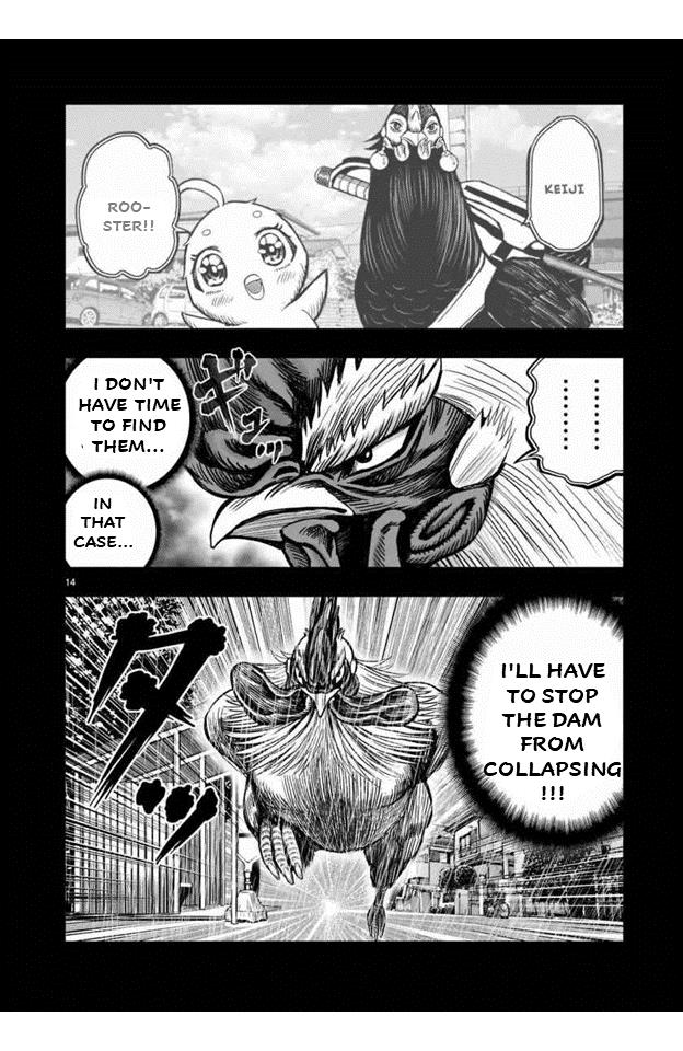 Rooster Fighter - Chapter 16: 16Th Feather: A Rooster That Stands Out