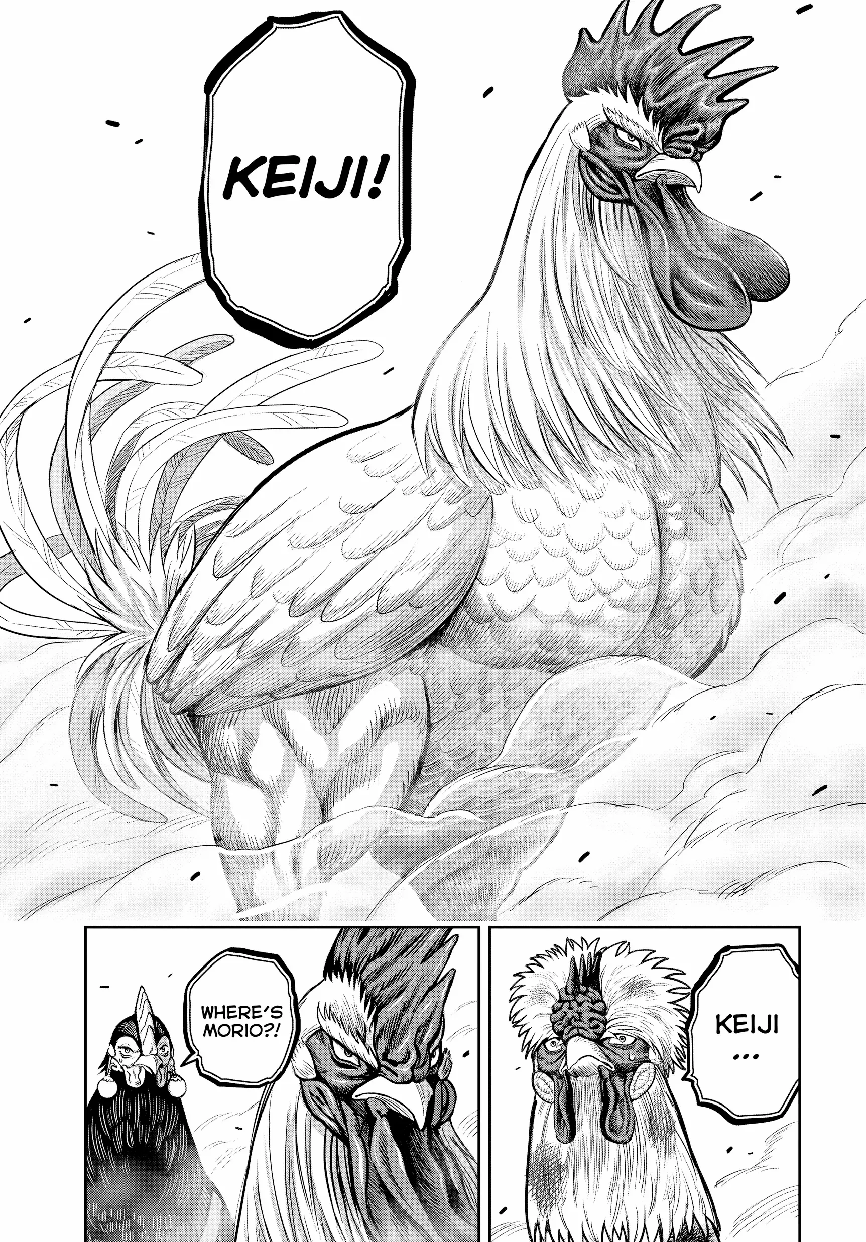 Rooster Fighter - Chapter 24