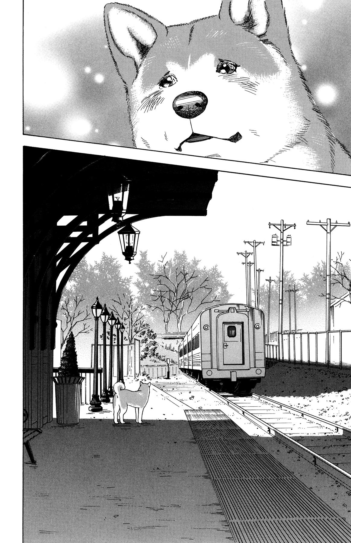 Hachi: A Dog's Tale - Chapter 4: A Sudden Farewell