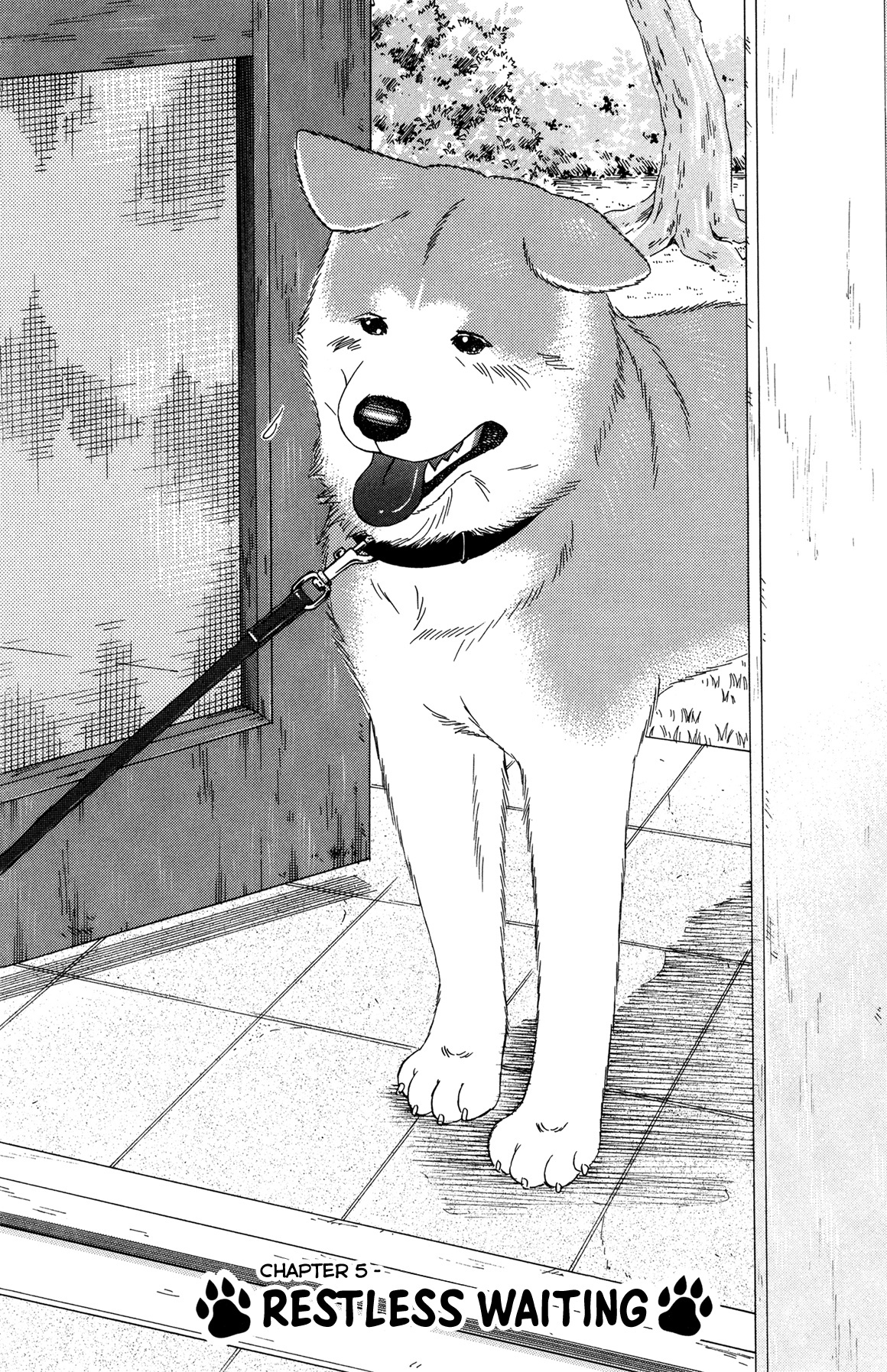 Hachi: A Dog's Tale - Chapter 5: Restless Waiting