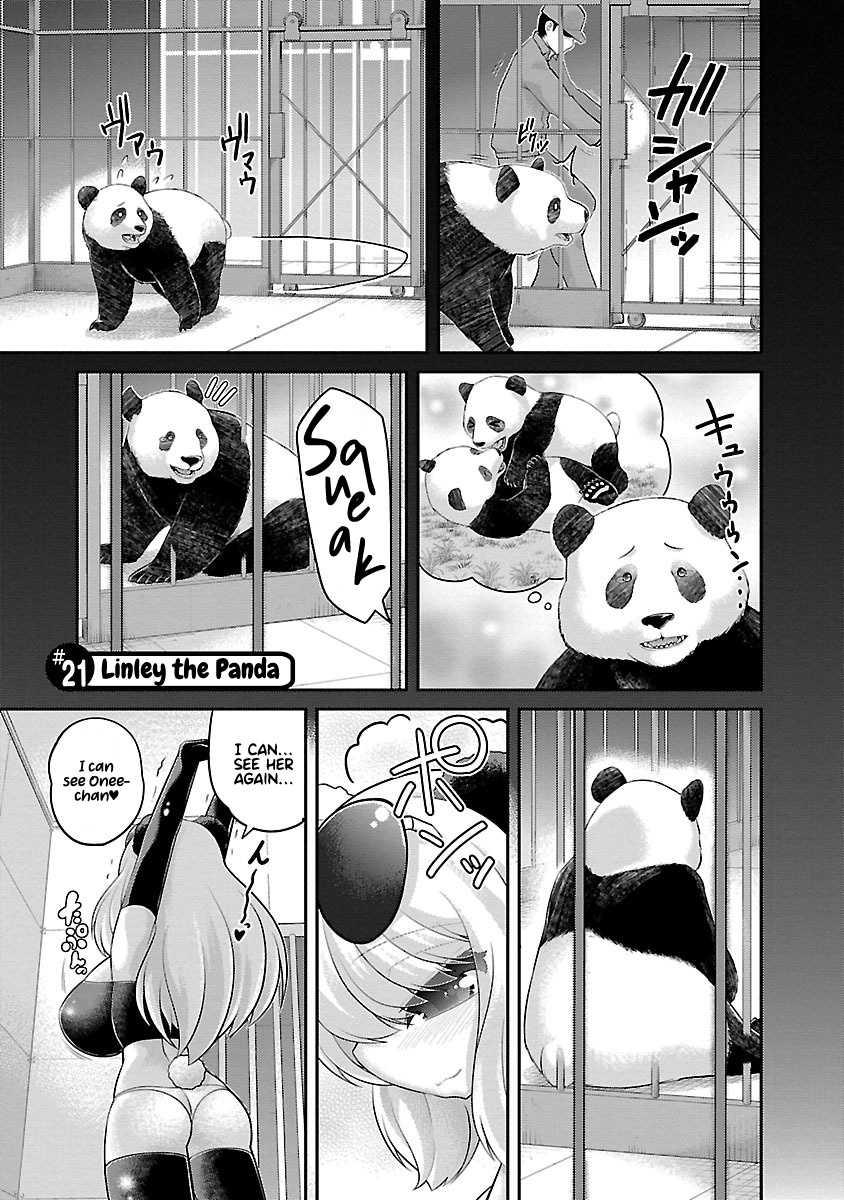 Kemokko Dobutsuen! - Chapter 21: Linley The Panda