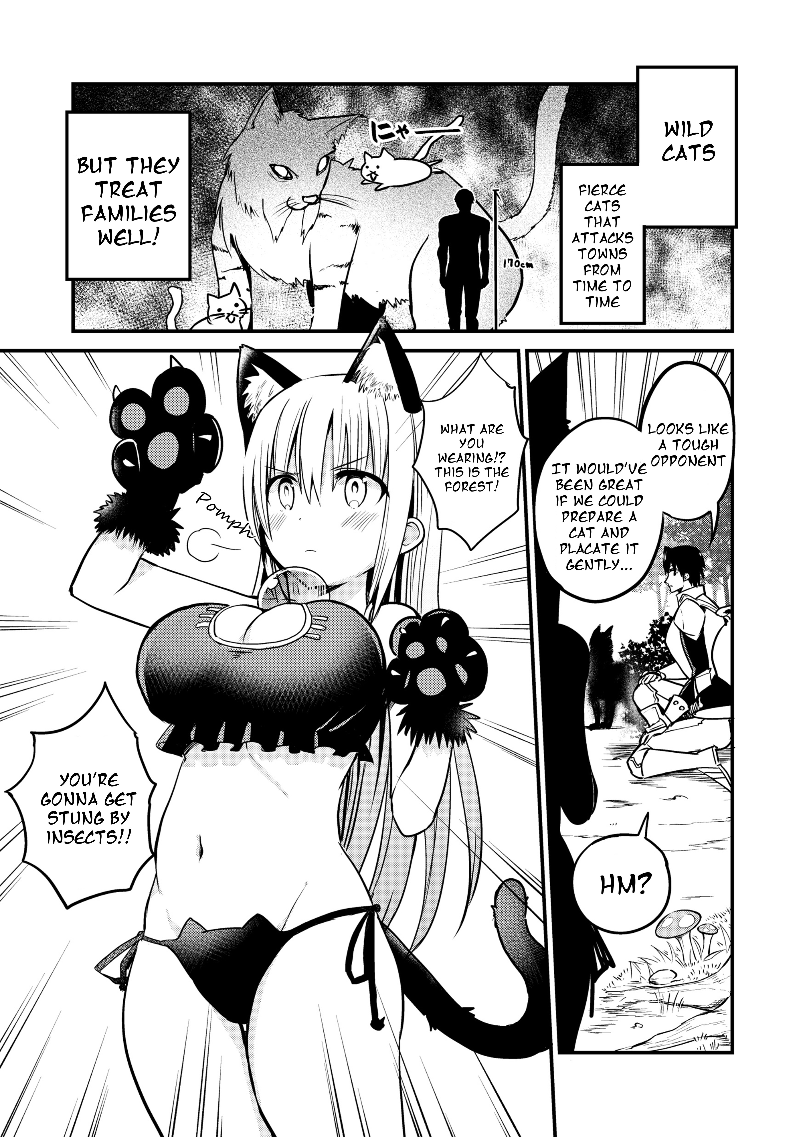 Shiro Madoushi Syrup-San - Vol.1 Chapter 25.5: White Mage Syrup-San And A Cat