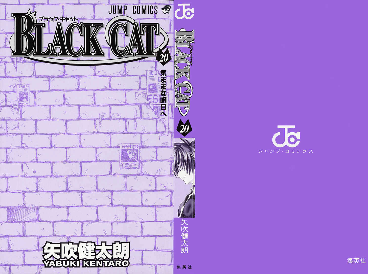 Black Cat - Vol.20 Chapter 176 : Imagine Blade Level 3