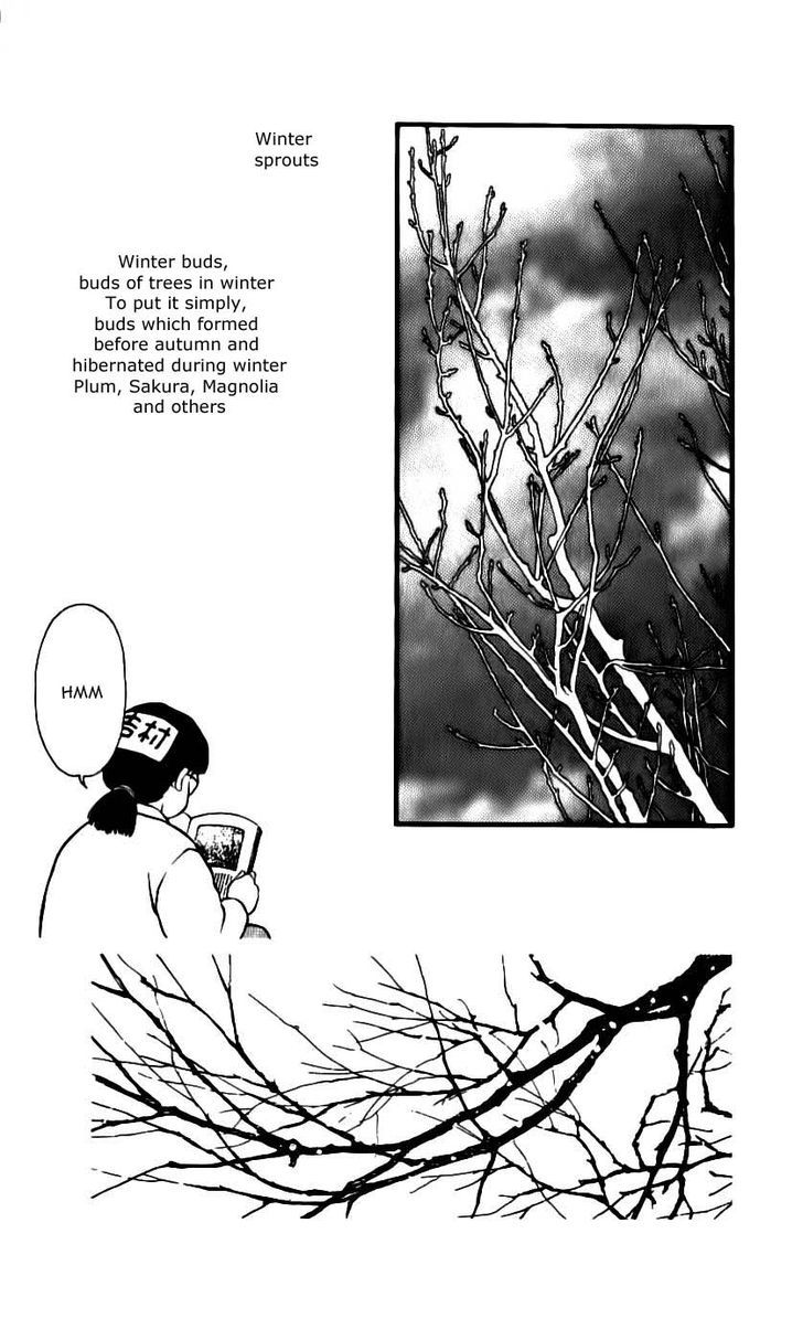 Bara No Tameni - Vol.12 Chapter 46 : Winter Sprouts