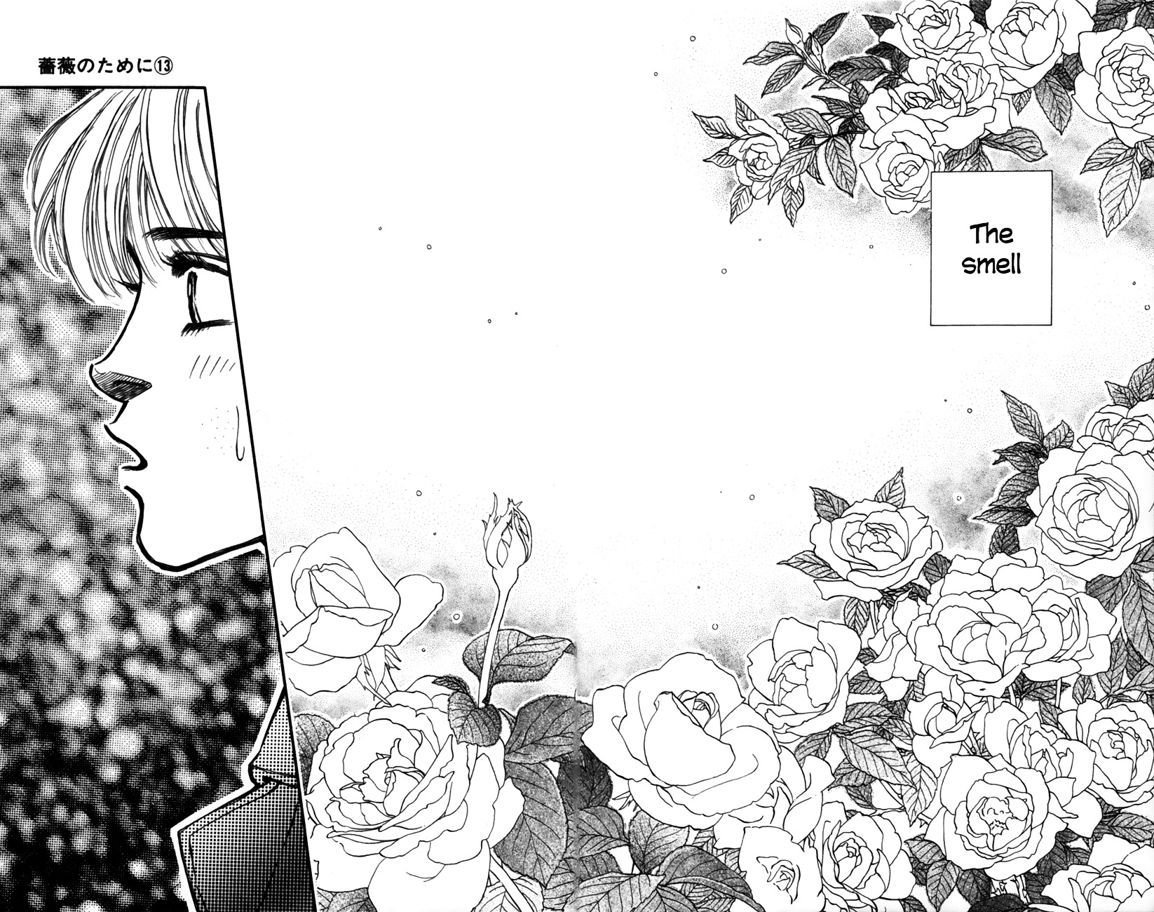 Bara No Tameni - Vol.13 Chapter 52 : The Rose You Planted