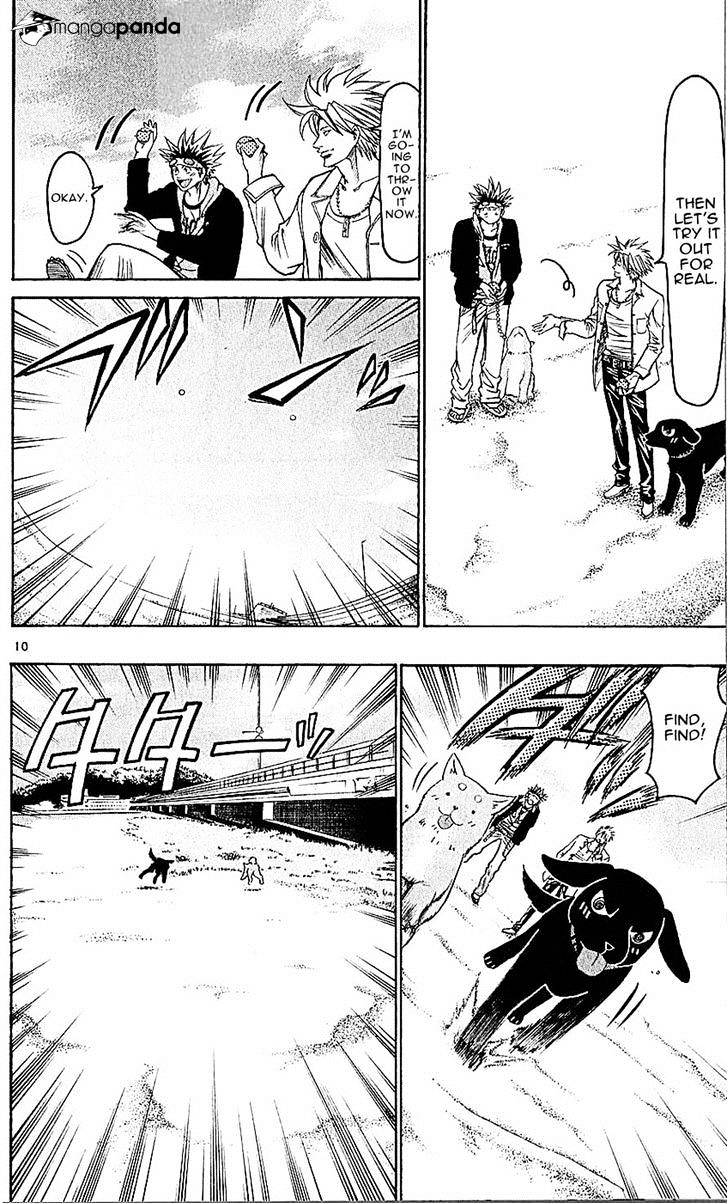 Wild Life - Chapter 138 : A Dogs Final Attack