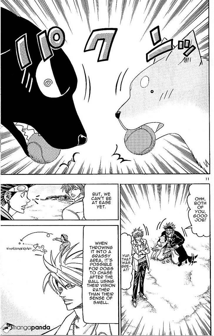 Wild Life - Chapter 138 : A Dogs Final Attack