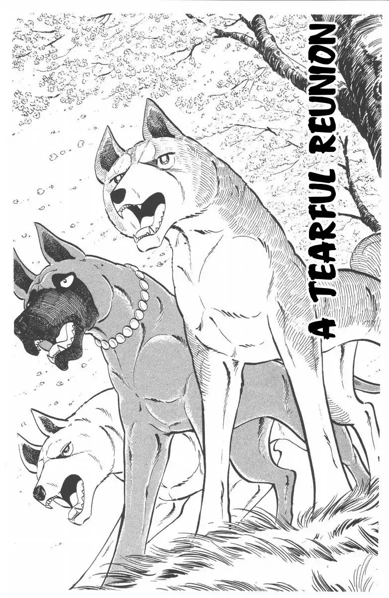 Ginga Nagareboshi Gin - Vol.10 Chapter 55: A Tearful Reunion [End]