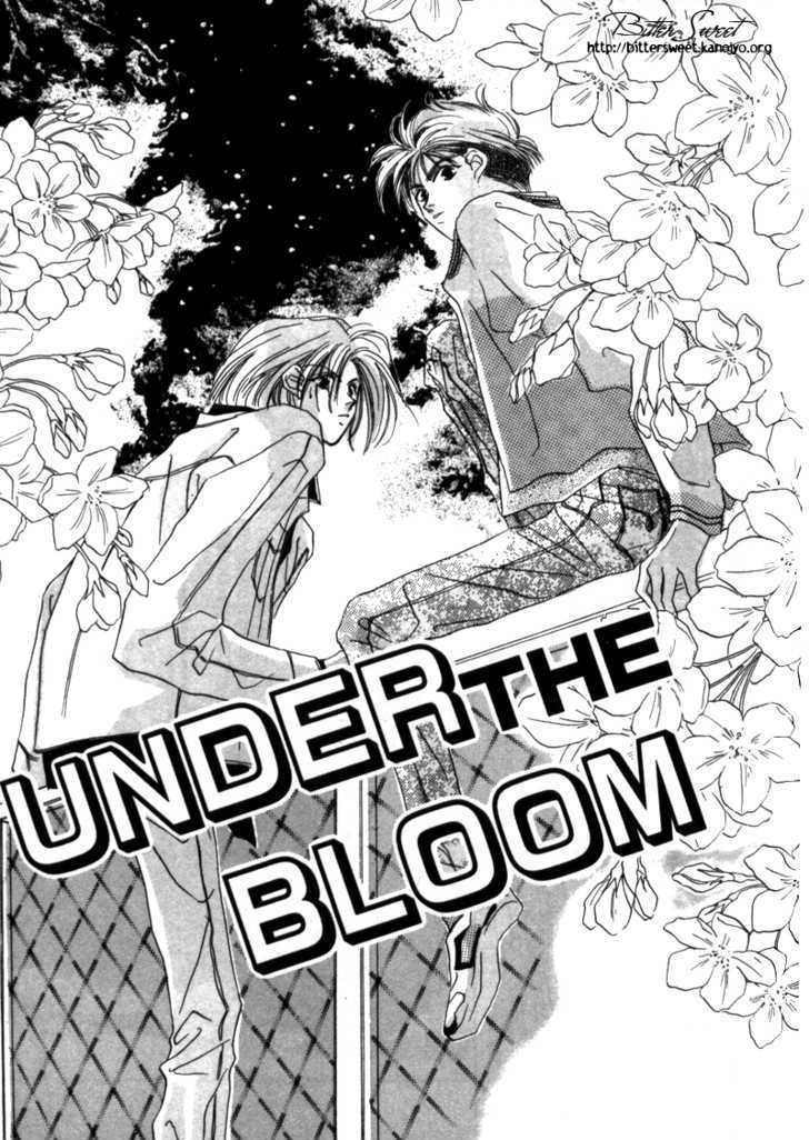 Boy's Cried - Vol.1 Chapter 2 : 2:  Under The Bloom  3:  Behavioral Report