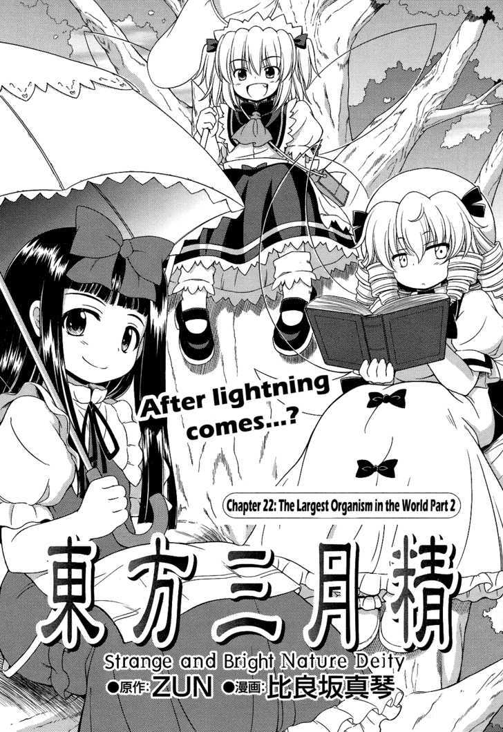 Touhou Sangetsusei: Strange And Bright Nature Deity - Vol.3 Chapter 22 : The Largest Organism In The World (Part 2)