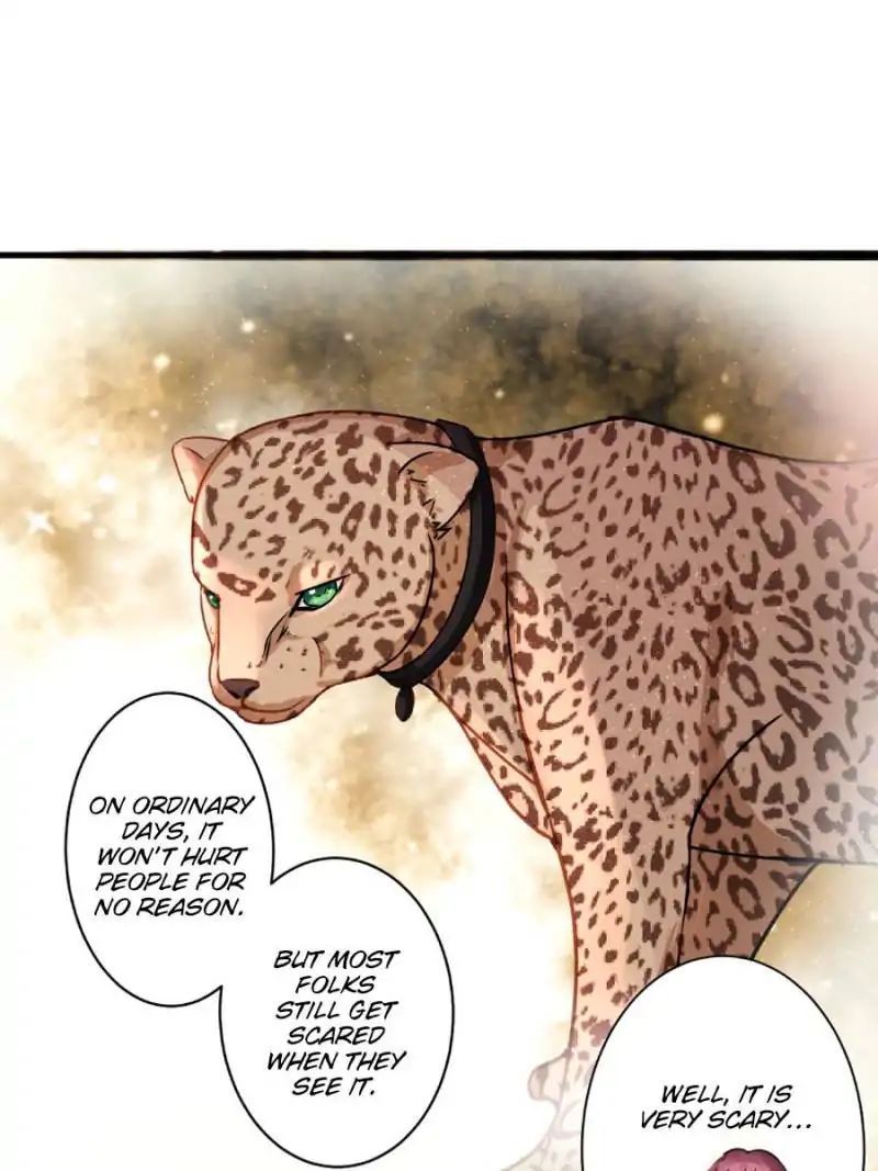 A Star Reborn: The Queen's Return - Chapter 19