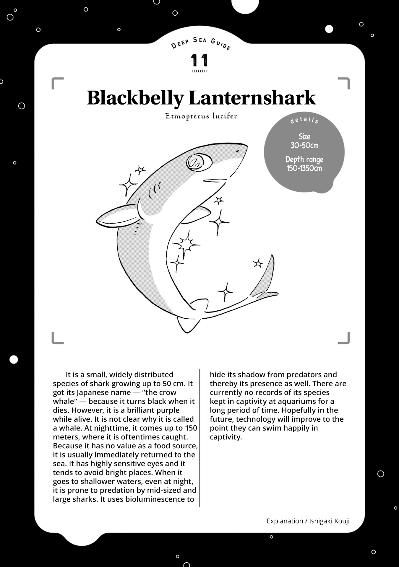 Deep Sea Aquarium Magmell - Chapter 12: Blackbelly Lanternshark