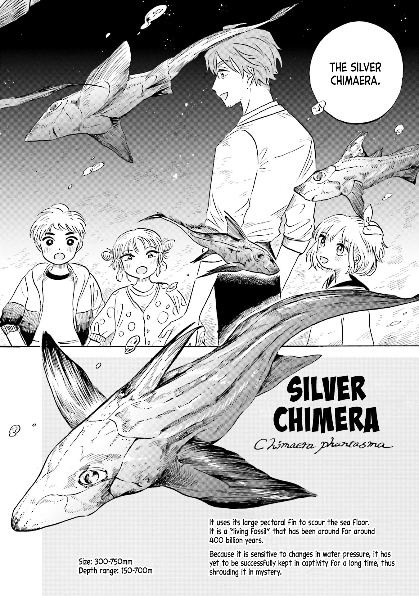 Deep Sea Aquarium Magmell - Chapter 15: Silver Chimaera