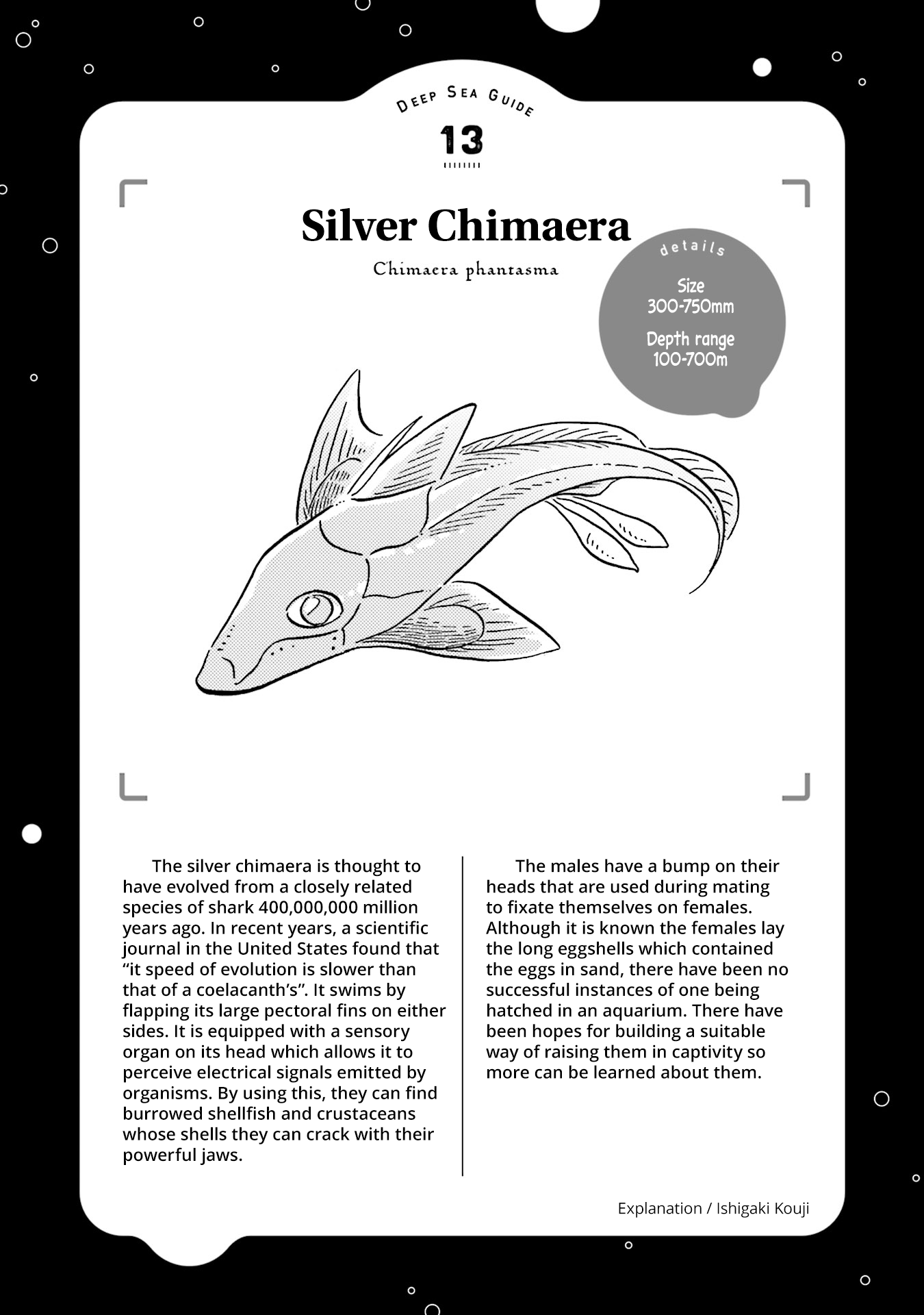 Deep Sea Aquarium Magmell - Chapter 15: Silver Chimaera