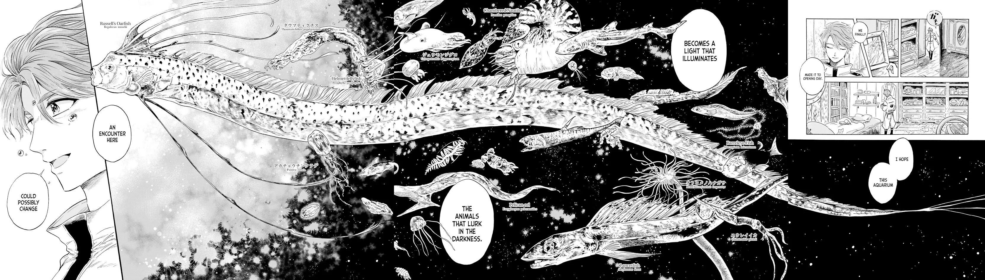 Deep Sea Aquarium Magmell - Chapter 0: Giant Squid