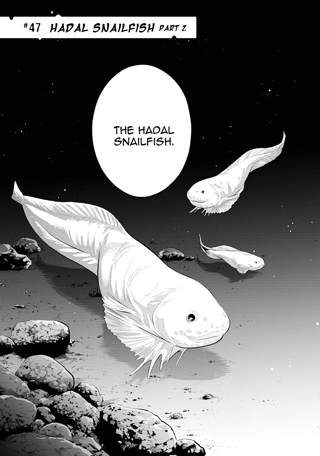 Deep Sea Aquarium Magmell - Chapter 47: Hadal Snailfish, Part 2