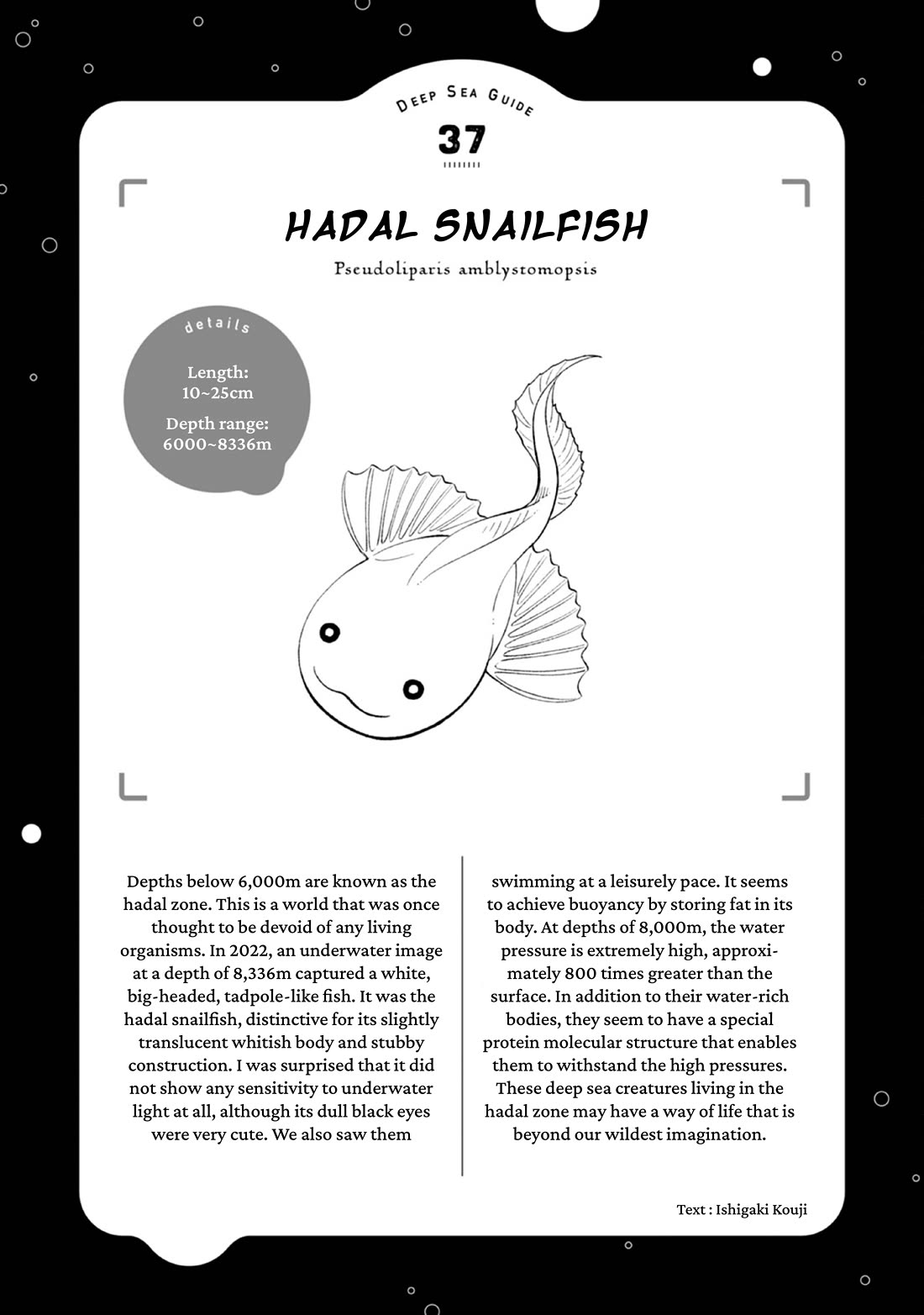 Deep Sea Aquarium Magmell - Chapter 47: Hadal Snailfish, Part 2