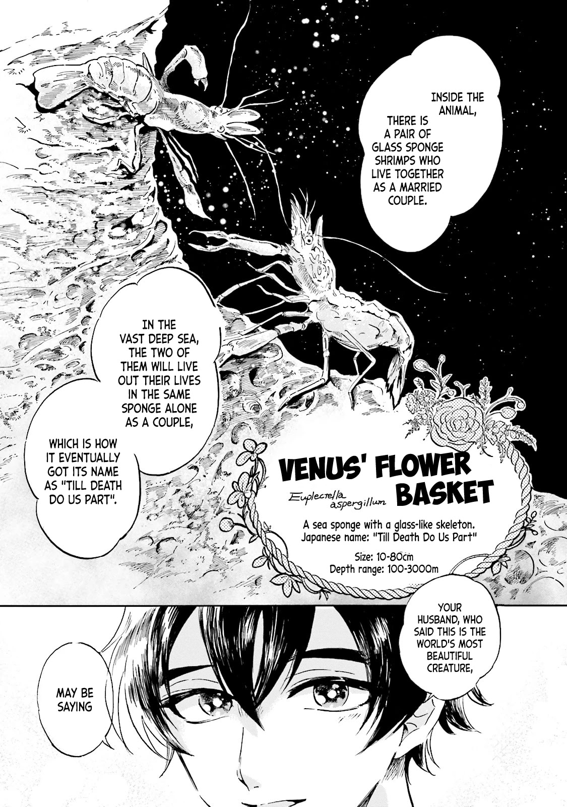 Deep Sea Aquarium Magmell - Chapter 3: Venus' Flower Basket