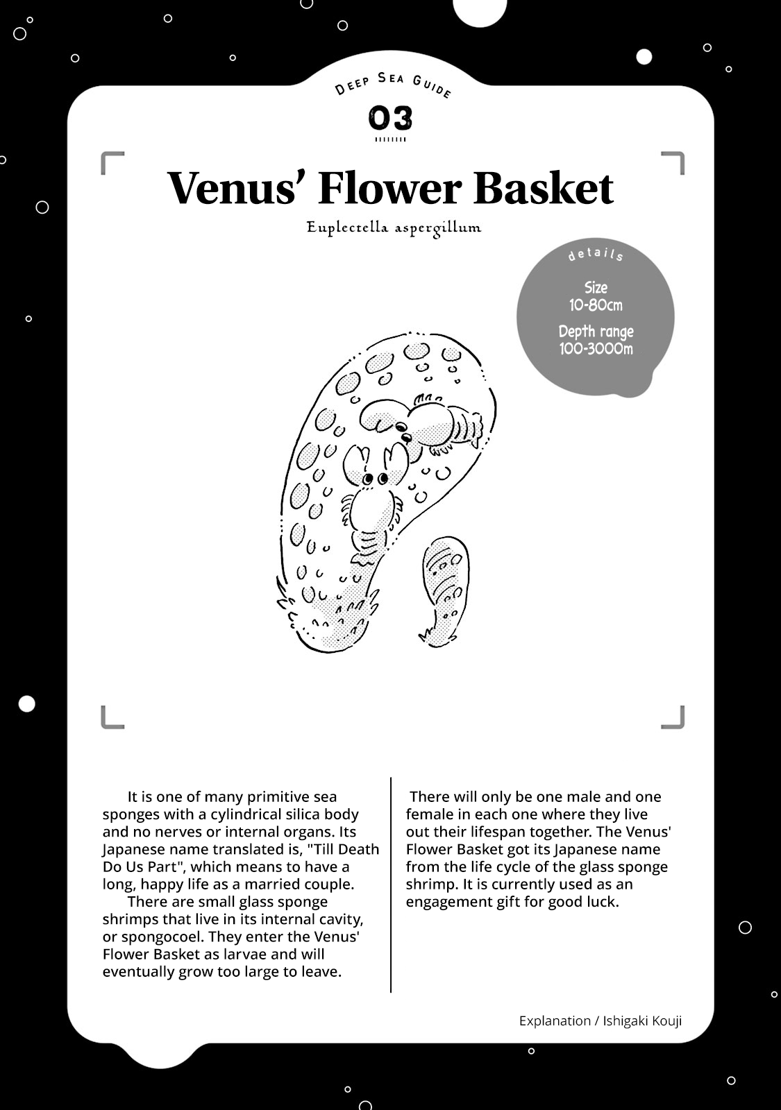 Deep Sea Aquarium Magmell - Chapter 3: Venus' Flower Basket