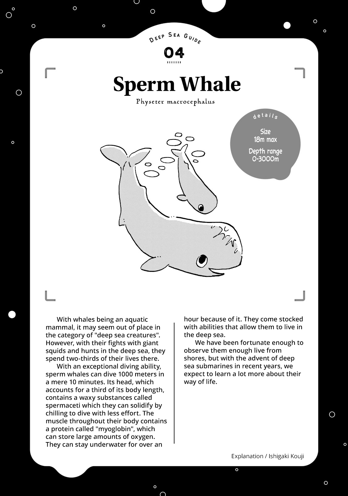 Deep Sea Aquarium Magmell - Chapter 4: Sperm Whale