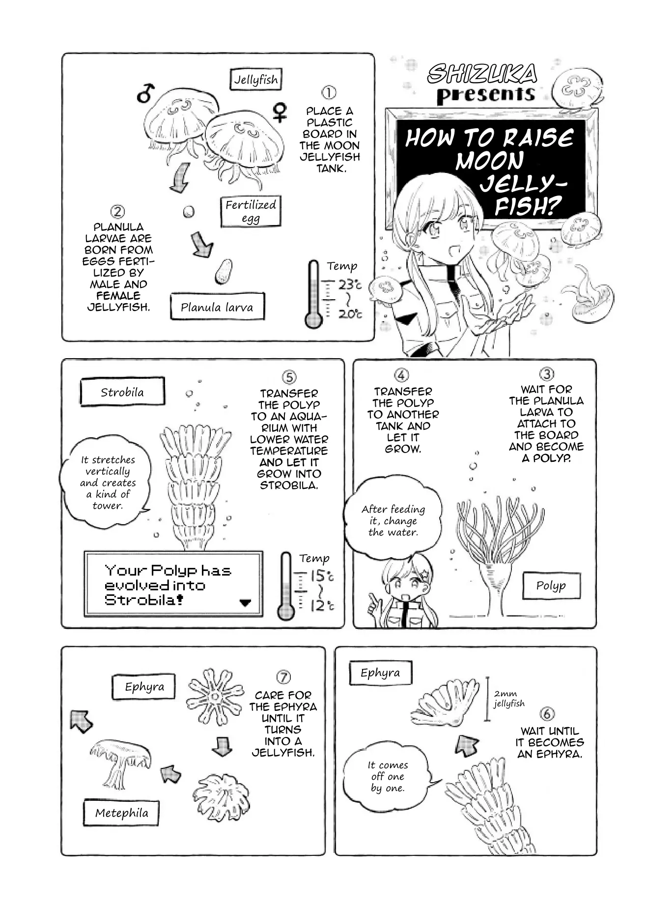 Deep Sea Aquarium Magmell - Vol.10 Chapter 48: Bluefin Driftfish, Part 1