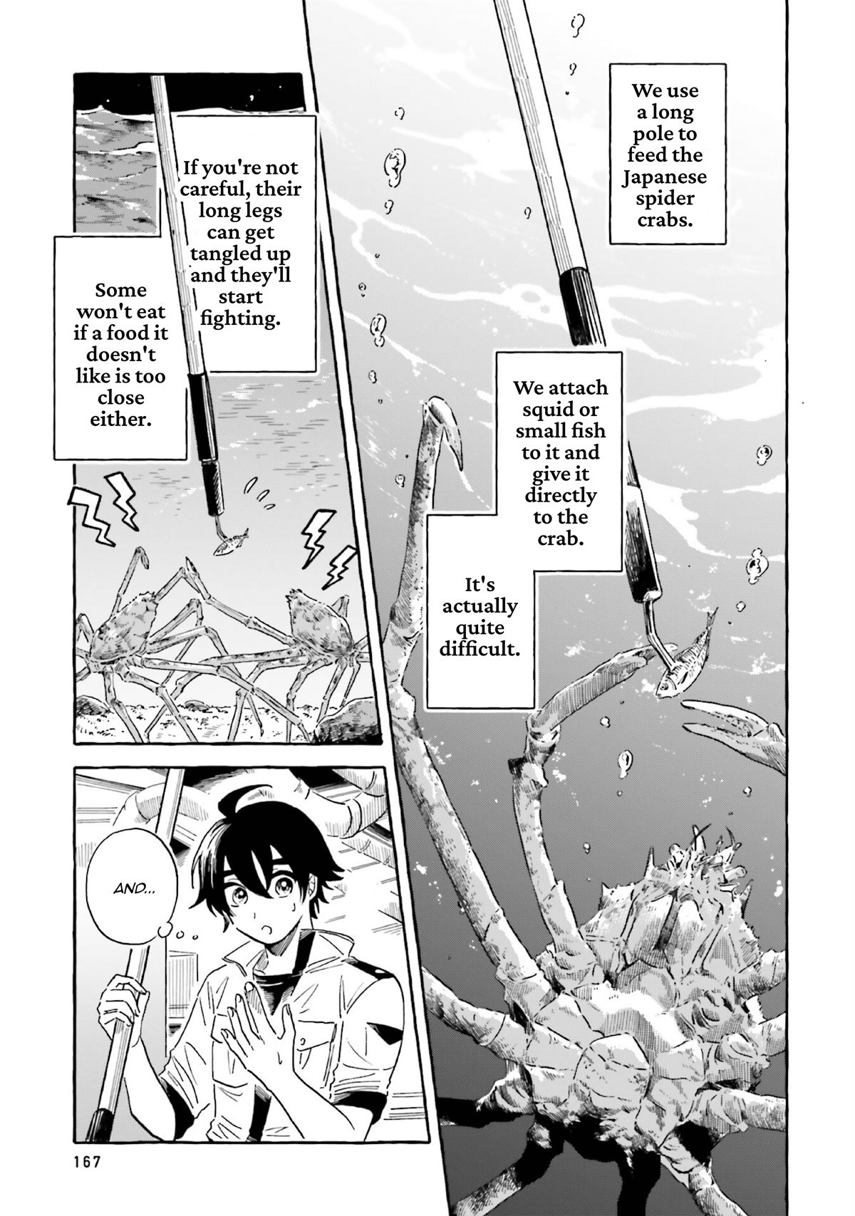 Deep Sea Aquarium Magmell - Chapter 37: Japanese Spider Crab