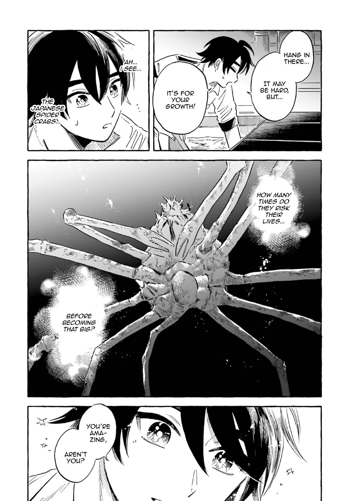 Deep Sea Aquarium Magmell - Chapter 37: Japanese Spider Crab